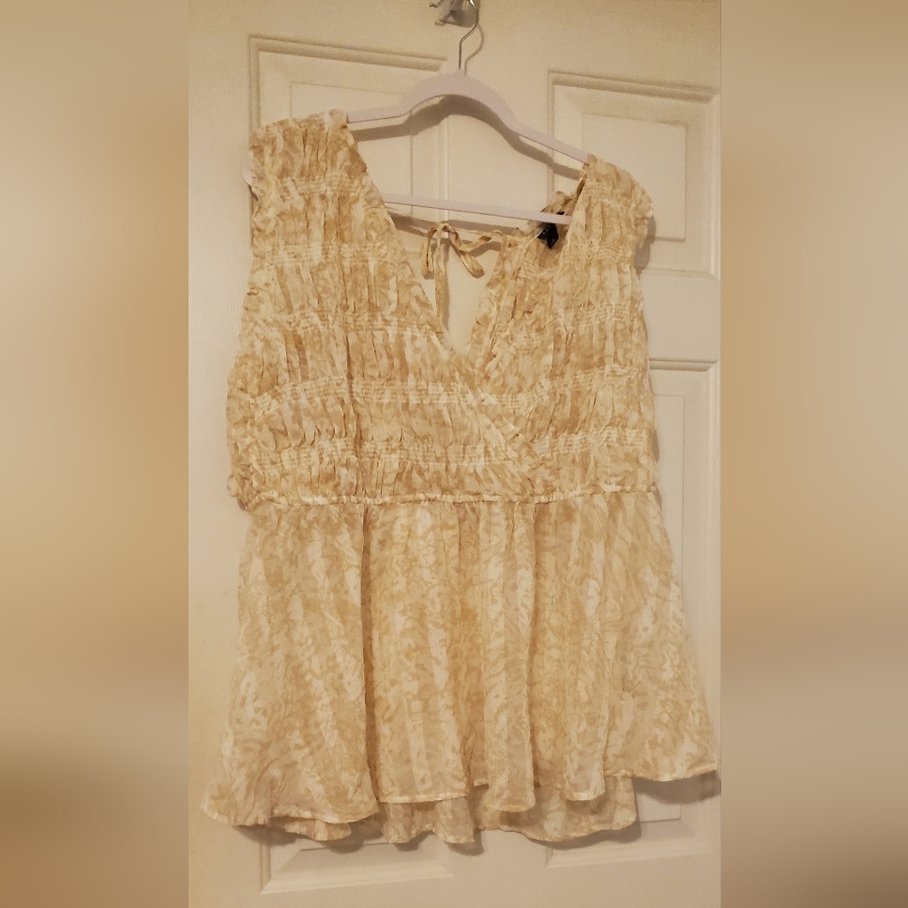 Torrid NWOT Elegant Neutral Sheer Women's Top Sz 3 (22/24)